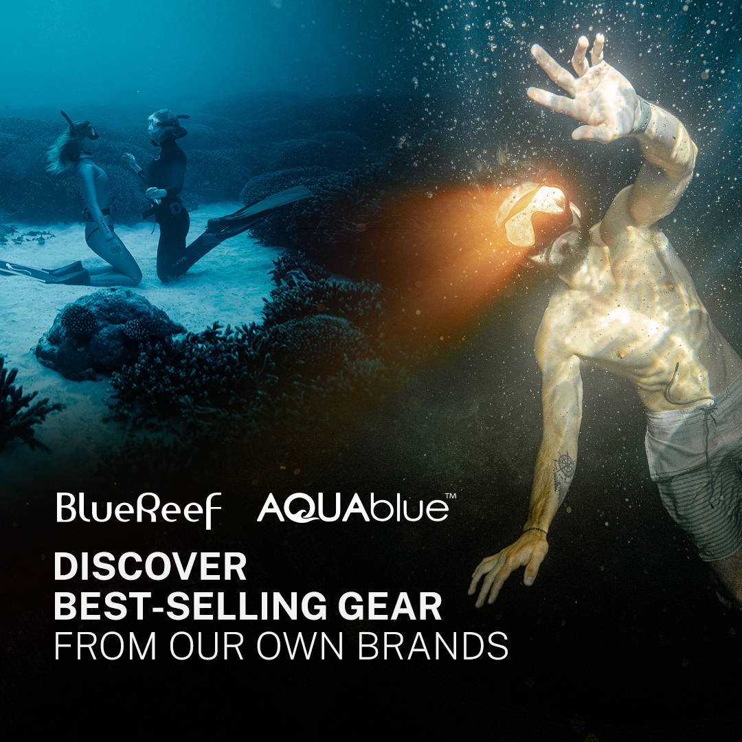 Check out our best-selling gear, plus exclusive collaborations with Cressi, NeoSport, Mares and more!

Shop Now: bit.ly/3yrsCc9