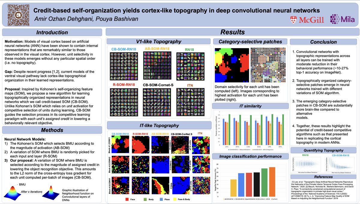 PouyaBashivan's tweet image. Ever wondered about why and how cortical topography emerges in the cortex? Come by our poster at #cosyne2023 tomorrow evening (Saturday Mar 11; 8:30-11:30pm) at talk to the wonderful @great_caster about his work