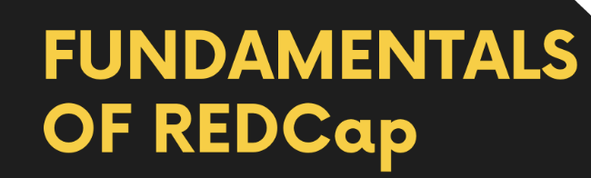 USCHRPP's tweet photo. Register for this exciting session on an introduction to REDCap, including step-by-step guidance on setting up a basic project, best practices for using REDCap,  and an overview of the top training resources available. 

https://t.co/Ai7eHJbjth https://t.co/aDHg0ApnN0