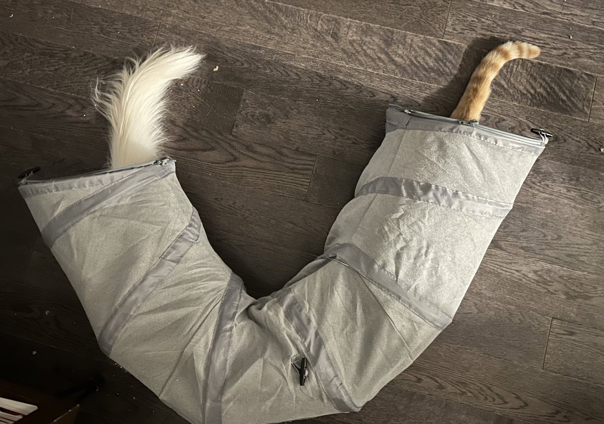 my first tweet will be this photo