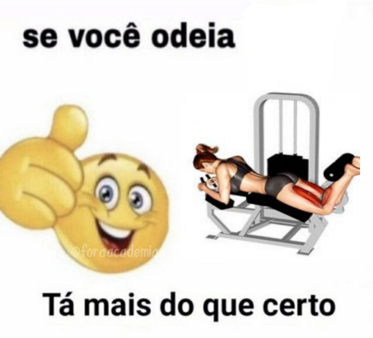 academia fora de contexto (@foraacademia) on Twitter photo 