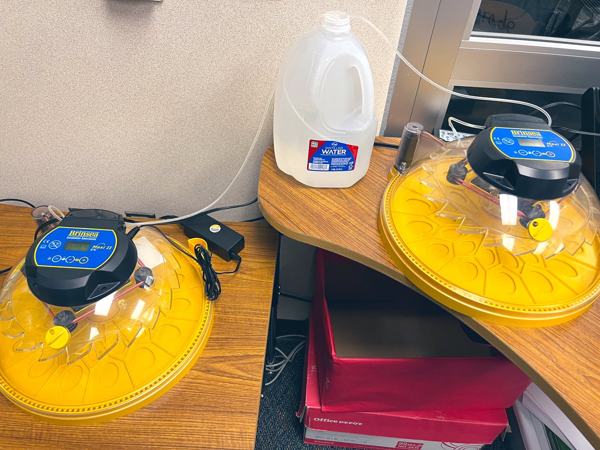 Alyssa Boudny tweet media