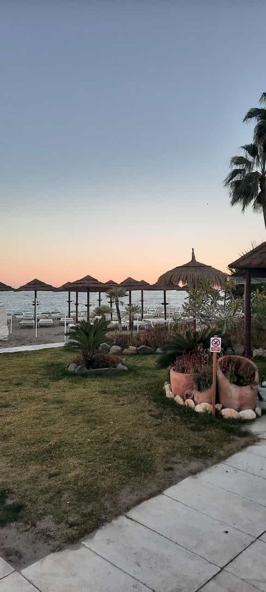 EncantoSol's tweet photo. Cariuela Torremolinos dove vivere in relax tutto l' anno. https://t.co/dRewGtLsqv
