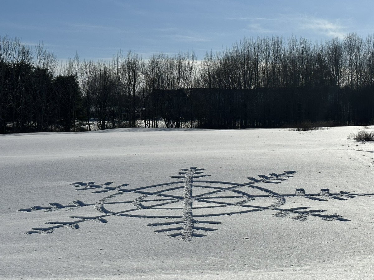 HalleeRunner's tweet photo. #snowshoeart #snow #experiencewinter https://t.co/7eKwR09jnD