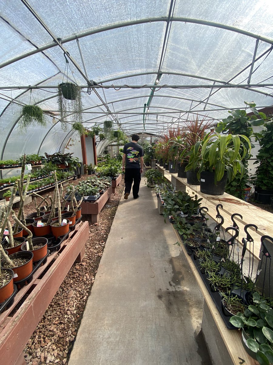 uglierrinperson's tweet image. 