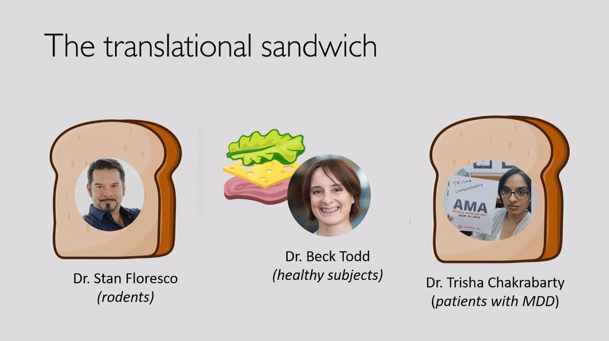 Today @BecketTodd & @dr_stan @DMCBrainHealth  presented an exciting Kickstart update on their truly #TranslationalResearch project on brain substrates of active & inhibitory avoidance in healthy a depressed populations, inspired by rodent work!  🐭🧠👥#TranslationalSandwich 🥪