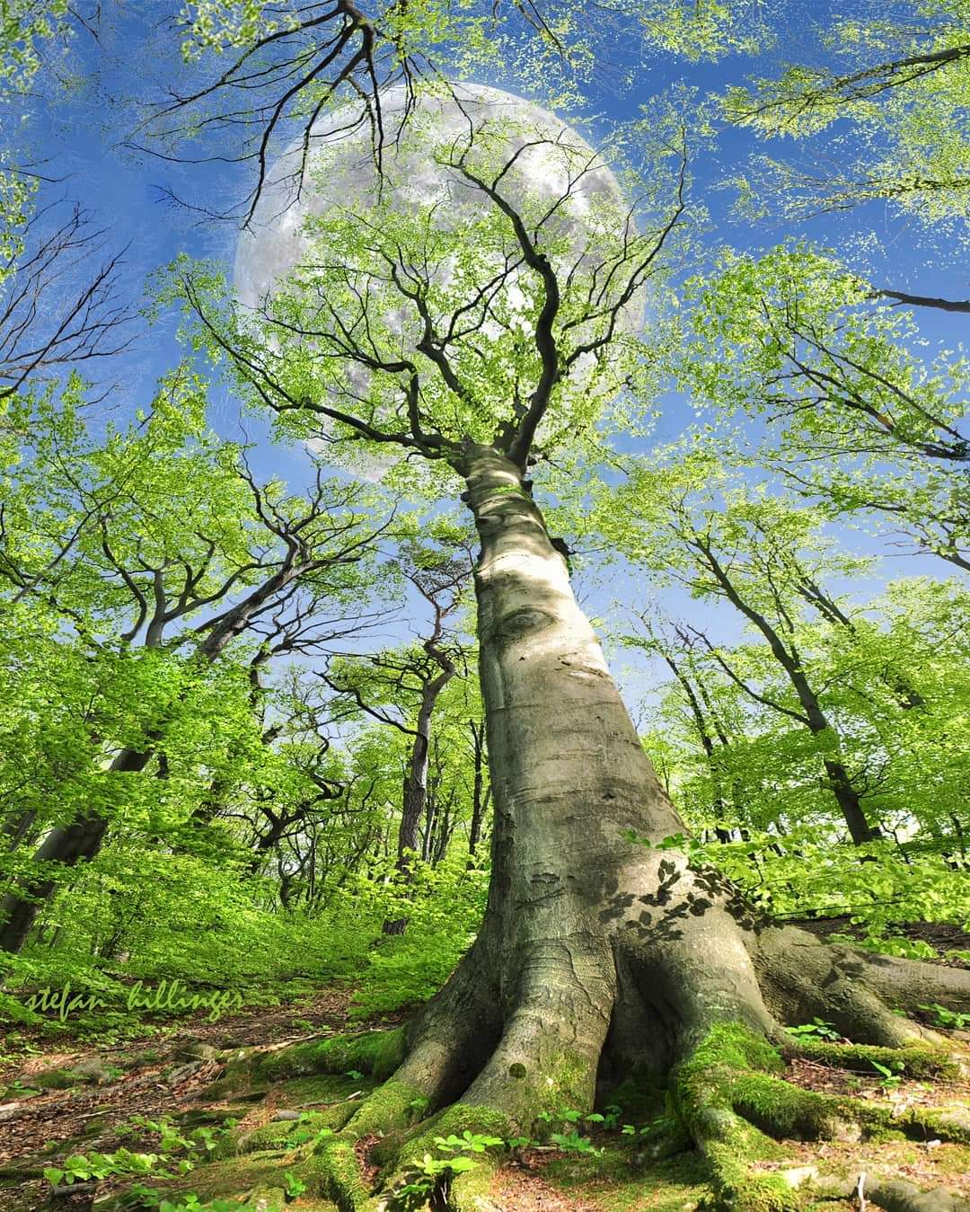 Nature рџњ On Twitter Nature Https T Co 3lmvtxpblv Twitter Nature рџњ On Twitter Nature Https T Co 3lmvtxpblv Twitter