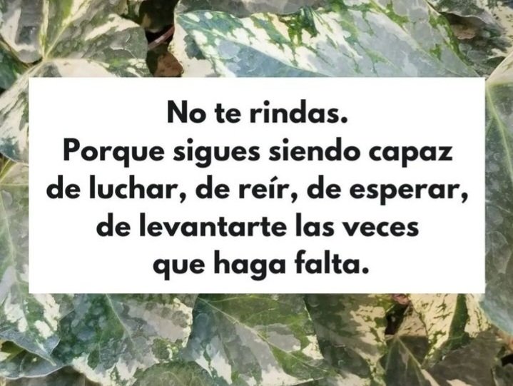 lorena_574's tweet photo. #Noterindas https://t.co/7heziKJMf8