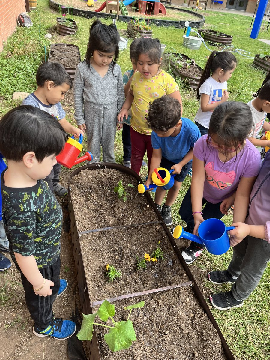 Maricela Velez tweet media