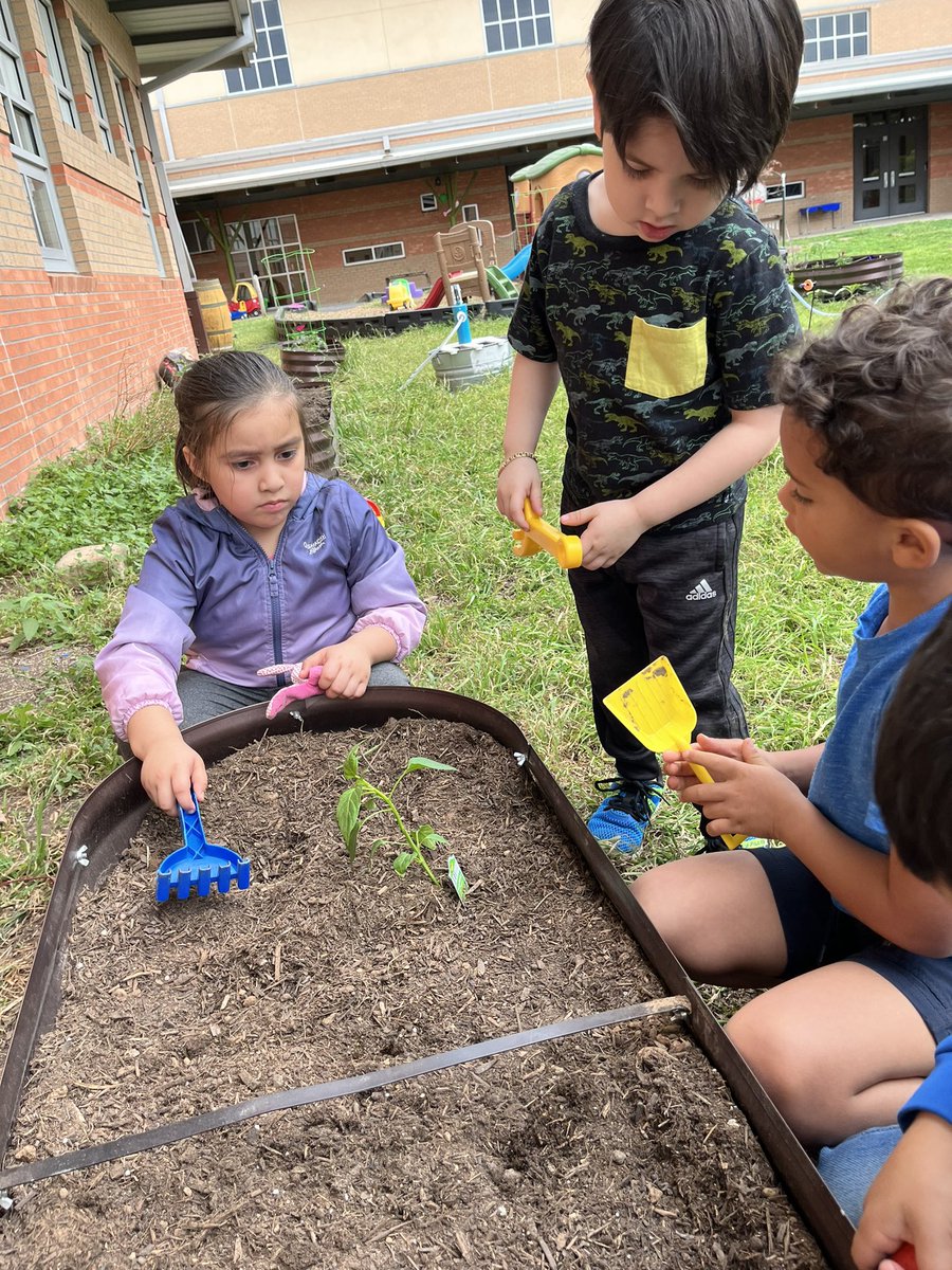 Maricela Velez tweet media