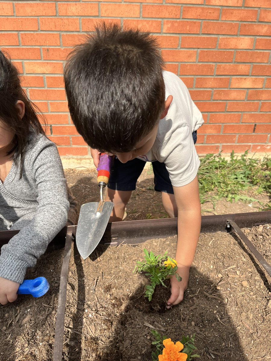 Maricela Velez tweet media