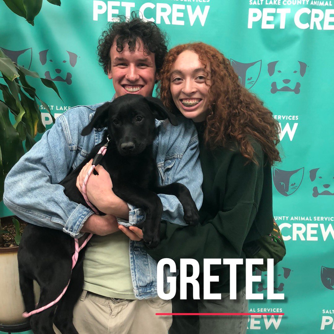 SLCoAnimals's tweet image. #ThankYou @fox13 for having Gretel on! She’s been adopted but there’s plenty more puppies in the shelter waiting for a home. Visit AdoptUtahPets.org to see pets online or visit @SLCoAnimals at 511 W 3900 S. #adoptutahpets #slco #friday
