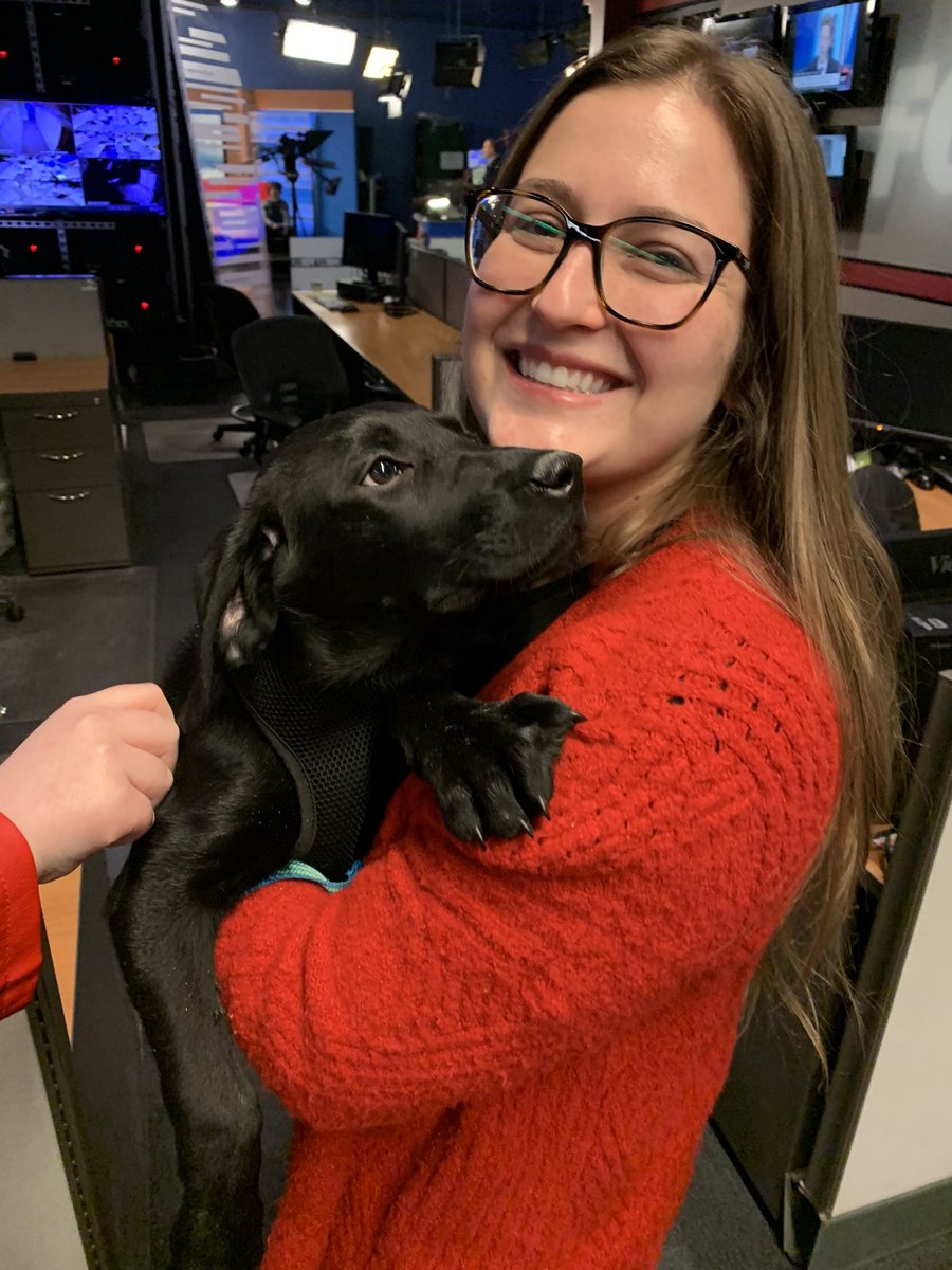 SLCoAnimals's tweet image. #ThankYou @fox13 for having Gretel on! She’s been adopted but there’s plenty more puppies in the shelter waiting for a home. Visit AdoptUtahPets.org to see pets online or visit @SLCoAnimals at 511 W 3900 S. #adoptutahpets #slco #friday