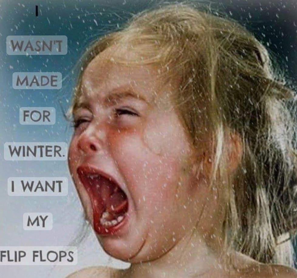 Cindy de Jonge-Stegink tweet media