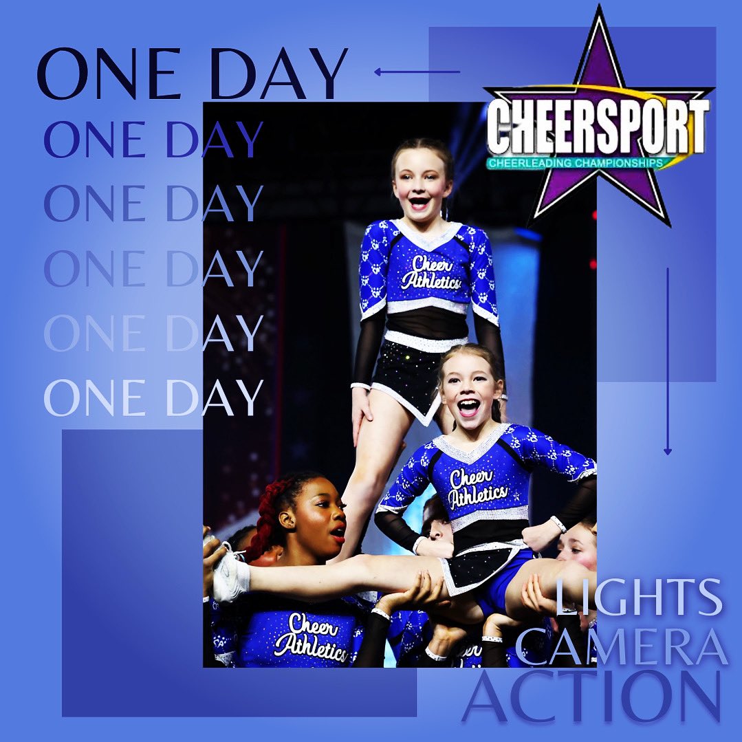 Majesticats tweet media