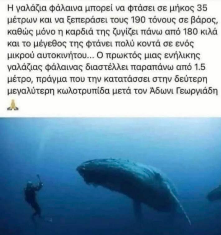 mellosstam's tweet photo. Εμπλουτίστε τις γνώσεις σας. Αξίζει να το διαβάσετε... https://t.co/ebz5gP2gAM
