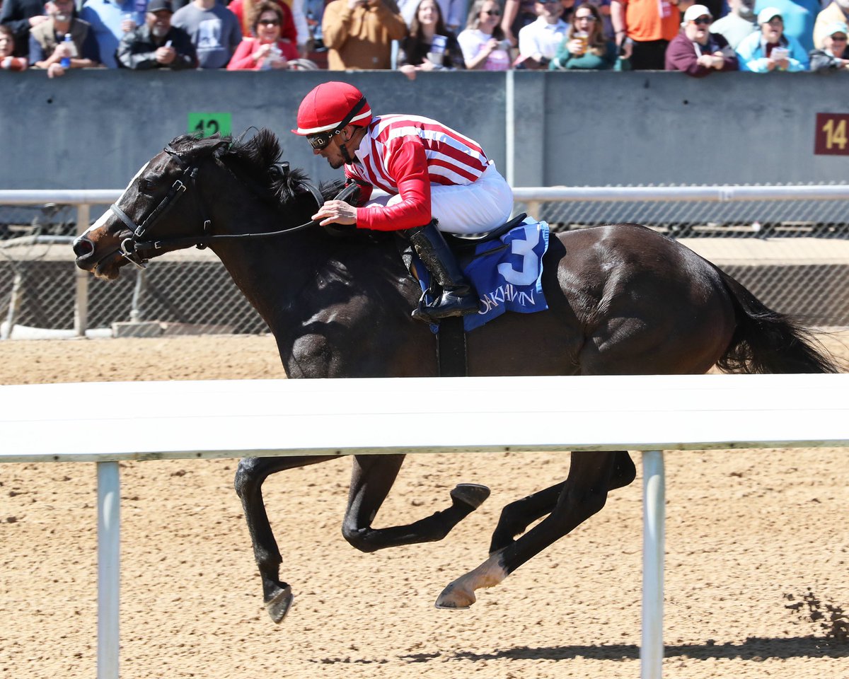 Liz Morris (@lizzym333) on Twitter photo Crystal Cresent takes the opener <a href="/OaklawnRacing/">Oaklawn Hot Springs</a> for <a href="/NormandeeTurtle/">Norman Mcknight</a> & <a href="/gabe__saez/">Gabriel Saez</a> Thank you to all the connections involved. Courtesy of @CoadyPhoto Crystal Cresent takes the opener <a href="/OaklawnRacing/">Oaklawn Hot Springs</a> for <a href="/NormandeeTurtle/">Norman Mcknight</a> & <a href="/gabe__saez/">Gabriel Saez</a> Thank you to all the connections involved. Courtesy of @CoadyPhoto