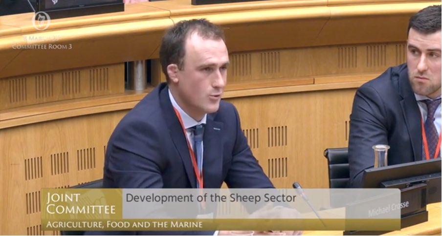 On Wednesday, we presented to the Oireachtas Committee on Agriculture on Development of the Sheep Sector.

The discussion was focused on the real and immediate opportunity that sheep milk represents for the entire sheep sector. 
#sheepmilk #irishdairy #irishsheep #grasstomilk