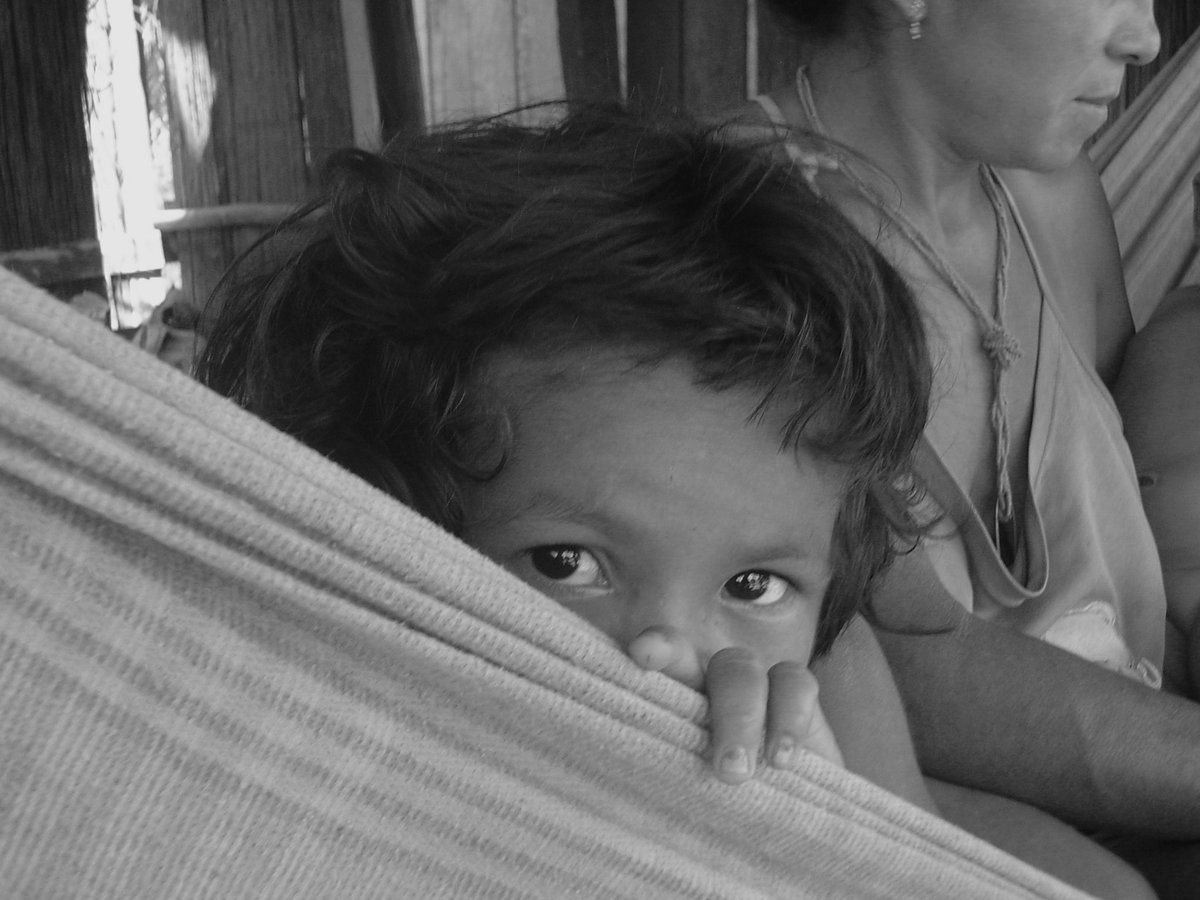 Peter Jones (@h2cm) on Twitter photo <a href="/hhrjournal/">Health&HumanRights</a> <a href="/semantema/">Carlos Piñones</a> <a href="/michellemorse/">michellemorse</a> @amhernaez Special Issue: Health and Human Rights Journal
hodges-model.blogspot.com/2023/03/health…
#HHR #HumanRights #Justice #Activism
Guest eds: <a href="/semantema/">Carlos Piñones</a> Seth Holmes, <a href="/michellemorse/">michellemorse</a> @amhernaez Kavya Nambiar, Joel Ferrall #GlobalHealth #GlobalJustice #GlobalSouth #IndigenousPeoples #Anthropology <a href="/hhrjournal/">Health&HumanRights</a> <a href="/semantema/">Carlos Piñones</a> <a href="/michellemorse/">michellemorse</a> @amhernaez Special Issue: Health and Human Rights Journal
hodges-model.blogspot.com/2023/03/health…
#HHR #HumanRights #Justice #Activism
Guest eds: <a href="/semantema/">Carlos Piñones</a> Seth Holmes, <a href="/michellemorse/">michellemorse</a> @amhernaez Kavya Nambiar, Joel Ferrall #GlobalHealth #GlobalJustice #GlobalSouth #IndigenousPeoples #Anthropology