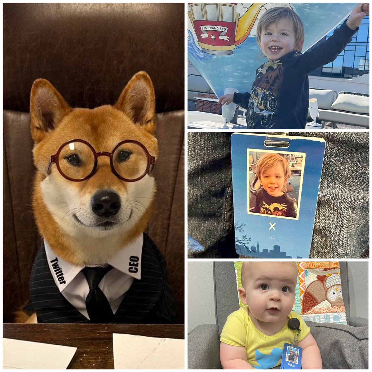 cb_doge's tweet photo. Twitter has the coolest staff! @elonmusk @cstanley https://t.co/nabYiJ8j7c
