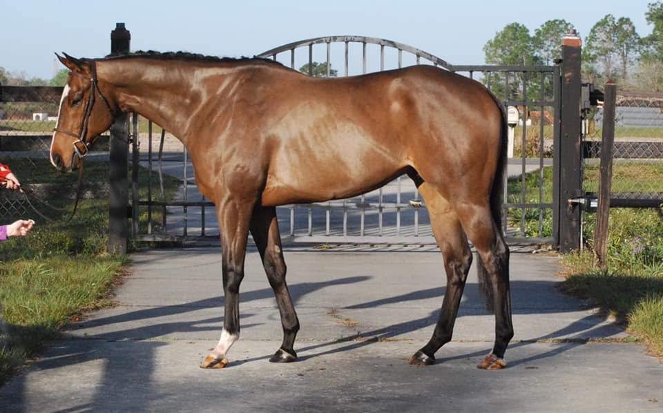 FL_Eventer's tweet photo. @CDNeventerr First photo I ever saw of him https://t.co/YzHrPsoECa