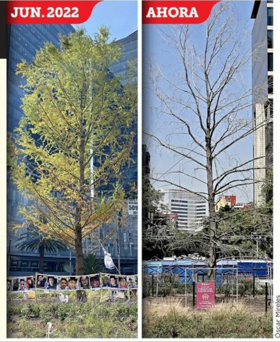 Como llegan ...
Cómo las deja éste gobierno...

#MorenaDestruyendoAMexico 
#CampamentoMéxico