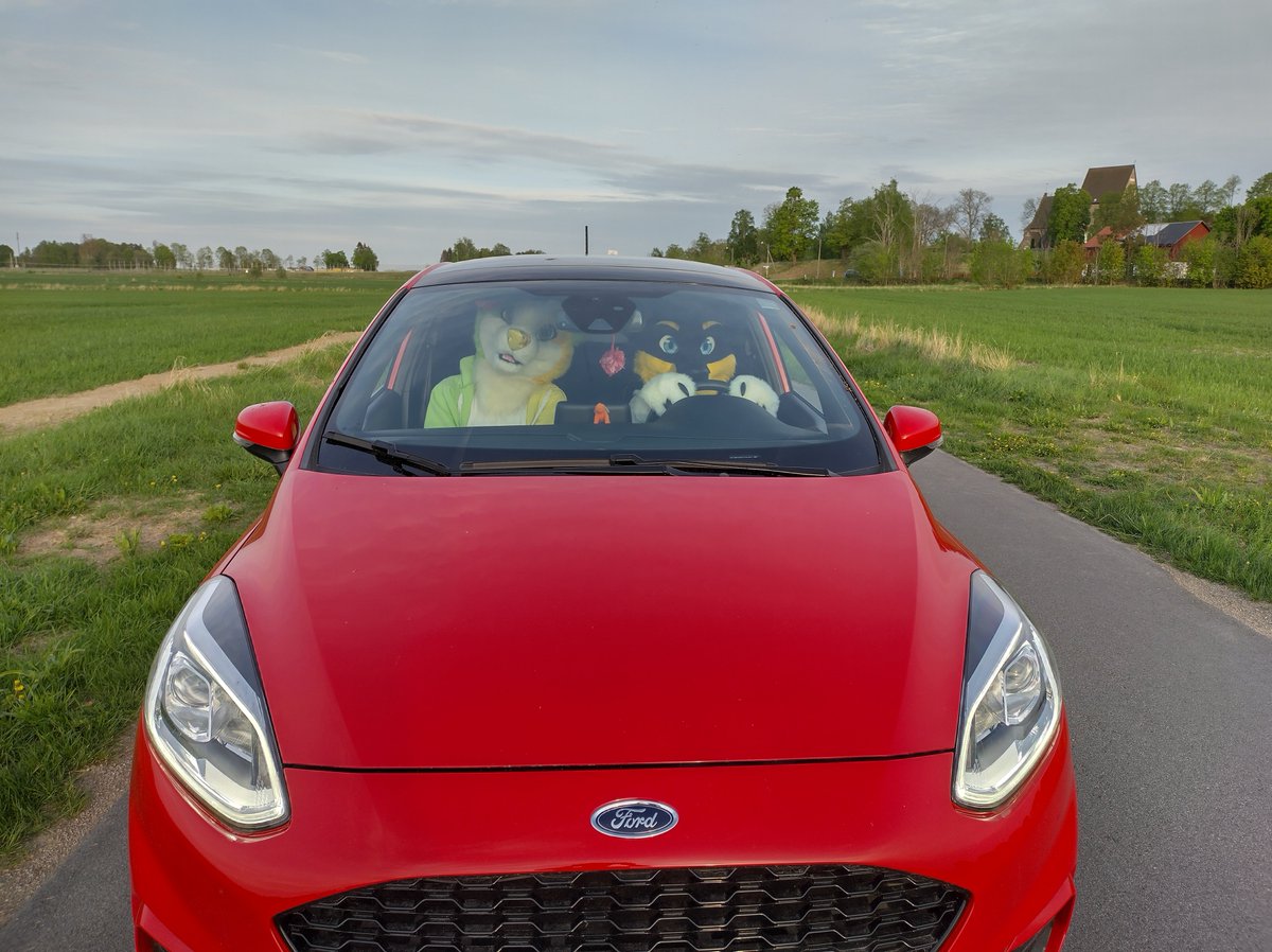 The last thing you'll see while stepping in front of The Dogmobile
#FursuitFriday 
📸 <a href="/CapehFluff/">Capeh</a>