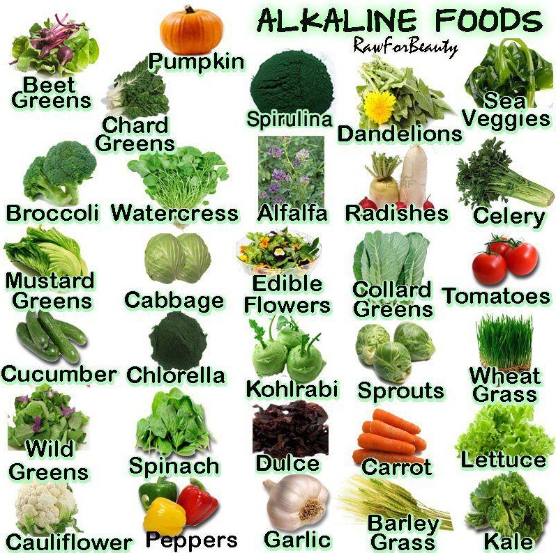 Organic Live Food On Twitter No Disease Including Cancer Can Exist organic-live-food-on-twitter-no-disease-including-cancer-can-exist