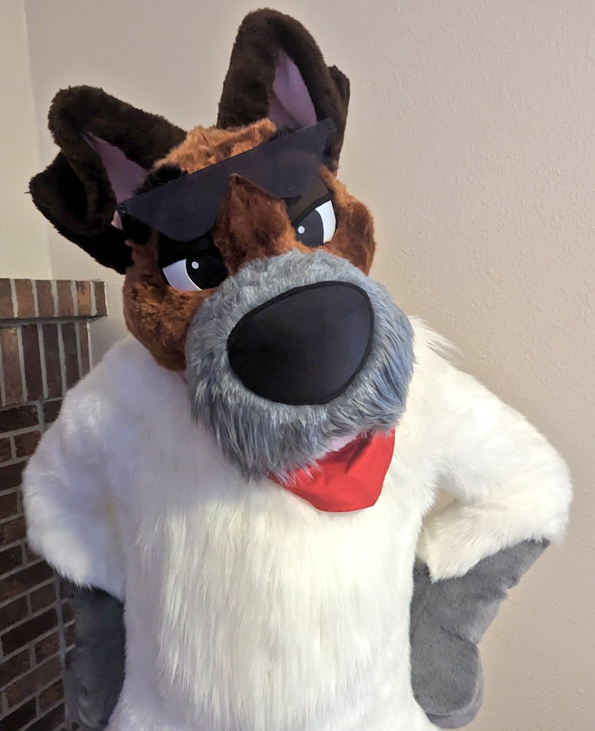 Denver Dodger Dog tweet media