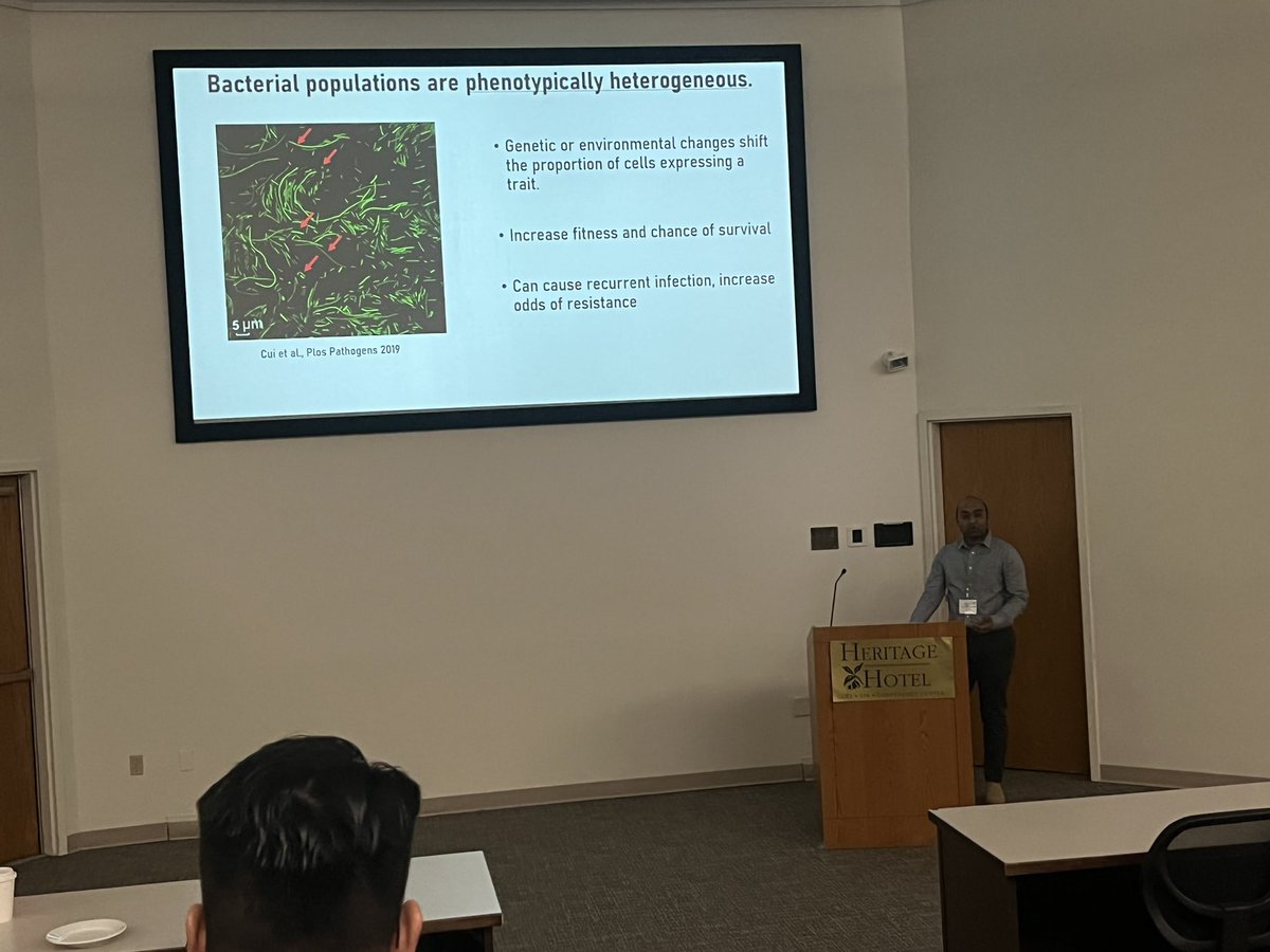 <a href="/Ravikum09202811/">Ravi Patel</a> showed Pseudomonas produces persisters against talosin and streptomycin through different mechanisms. Time to think about new multiprong disease management strategies? #NEAPS