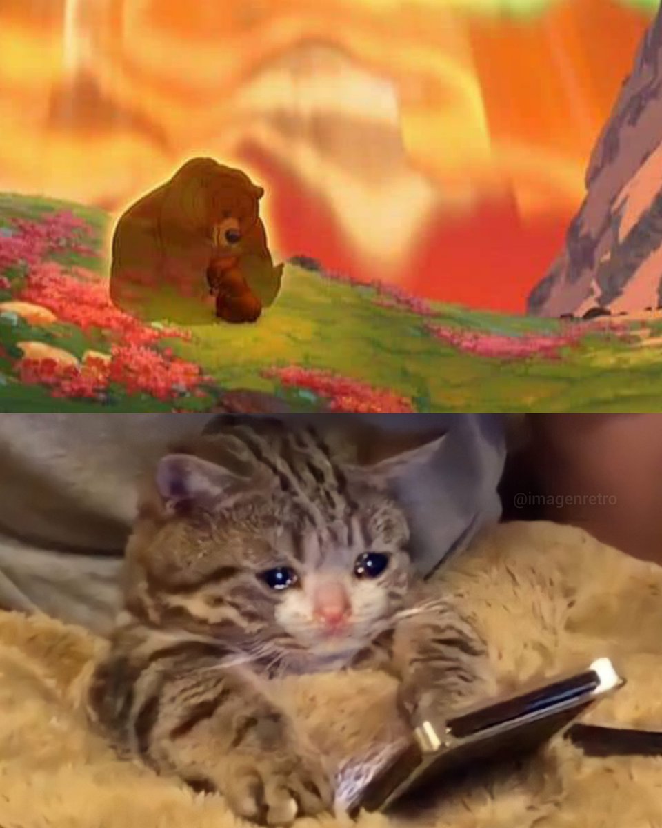 Yo viendo por milésima vez a Koda despedirse de su mamá en Tierra de Osos: