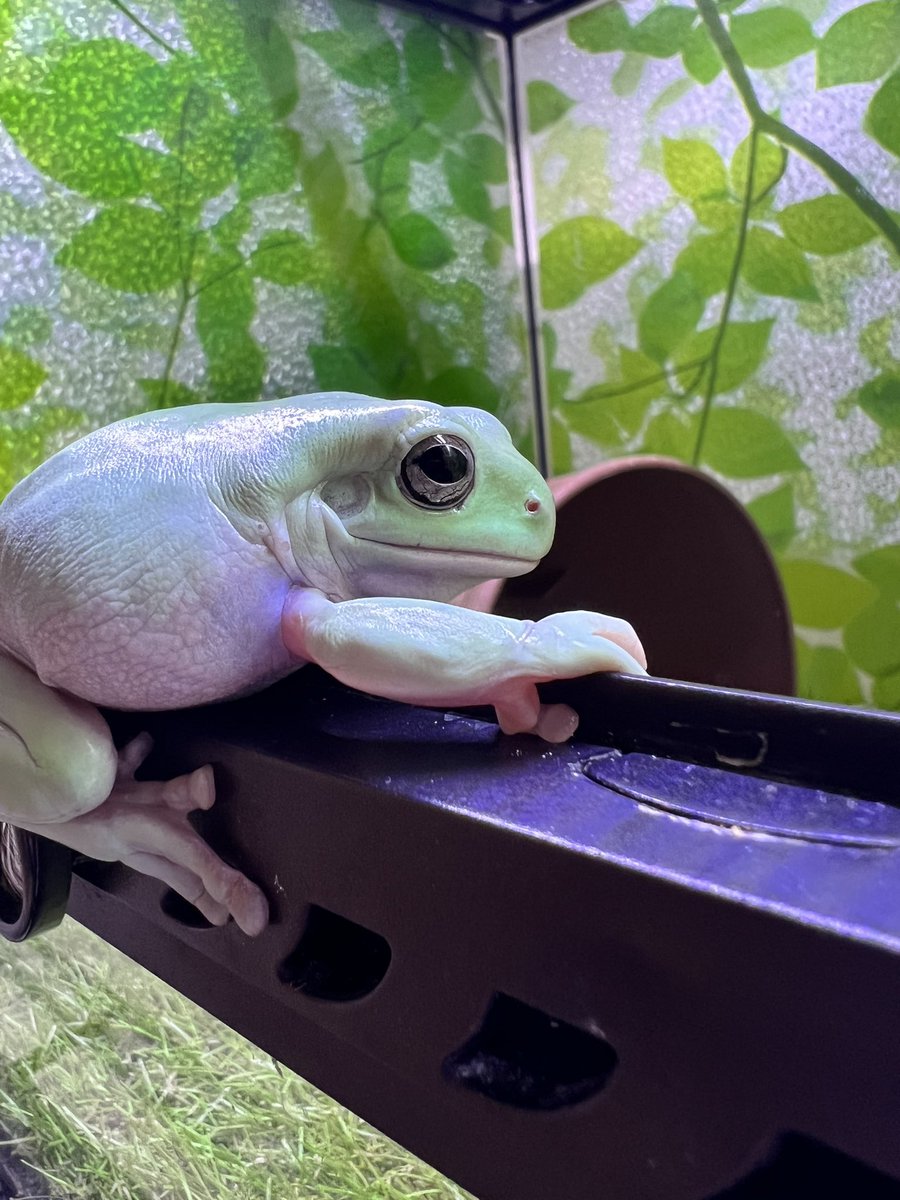 帰るっ！( ˙꒳˙ )