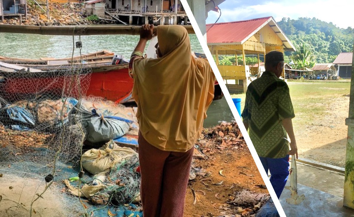 hollieboothie's tweet image. 🎣Mitigating bycatch is particularly challenging in small-scale mixed-species fisheries (#SSFs), where perceptions of target &amp;amp; non-target vary widely, &amp;amp; all catch has economic or subsistence value. 
🫂Bycatch mitigation in these contexts necessitates a people-centred approach.