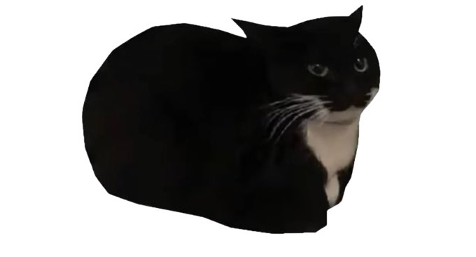 Maxwellthecarry's tweet photo. ……………….I love equinox kiwi
  …………………………….|…………………………..
                                     | https://t.co/K3Jq930X6c