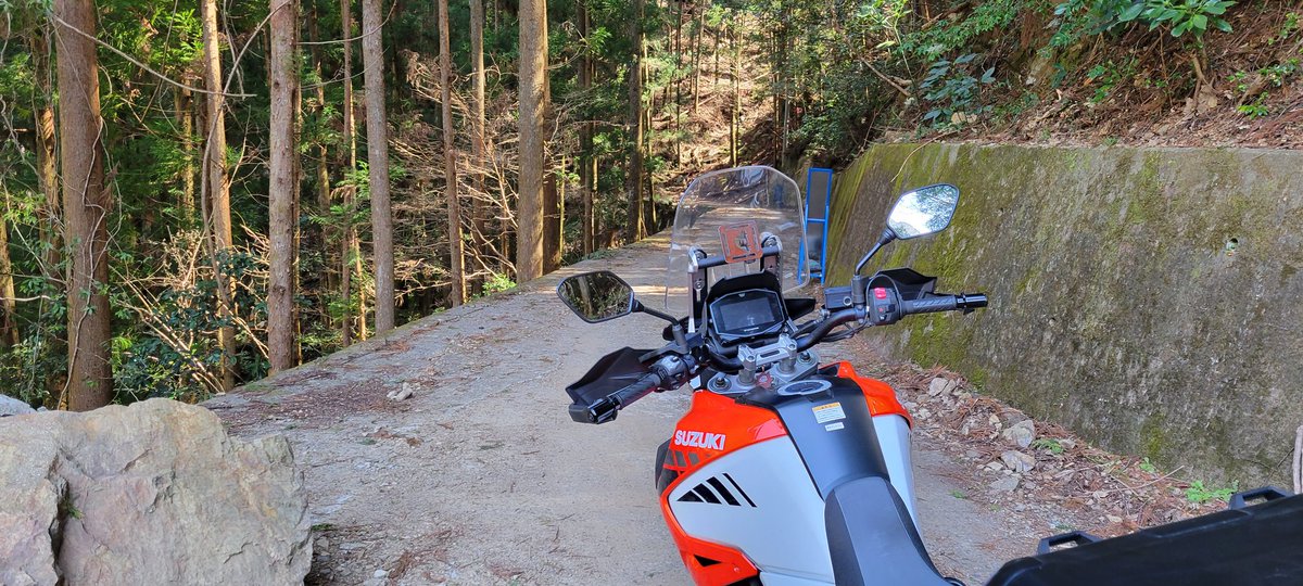 怖くて中井侍行くのやめた 