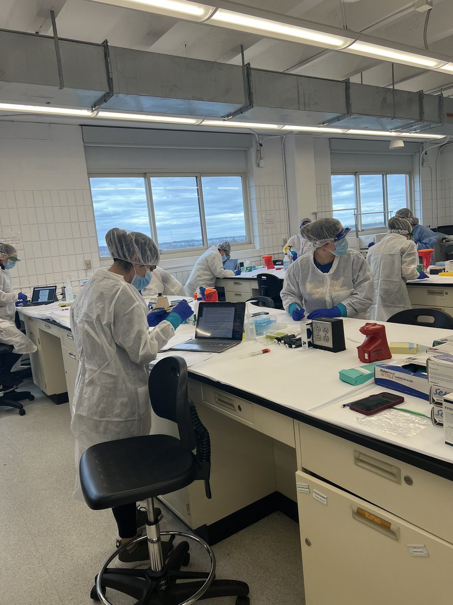 unewhavenforen1's tweet image. Working with DNA next to a view of the surrounding city is something that will never get old! 🧬 

#UNewHaven #forensicscience #forensictechnology #forensicslab #DNA #unewhavenforensics