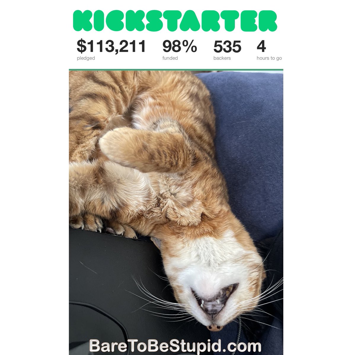 The suspense is really taking its toll on Chloe. Please support us at BareToBeStupid.com before a CATastrophe occurs. #BareToBeStupid