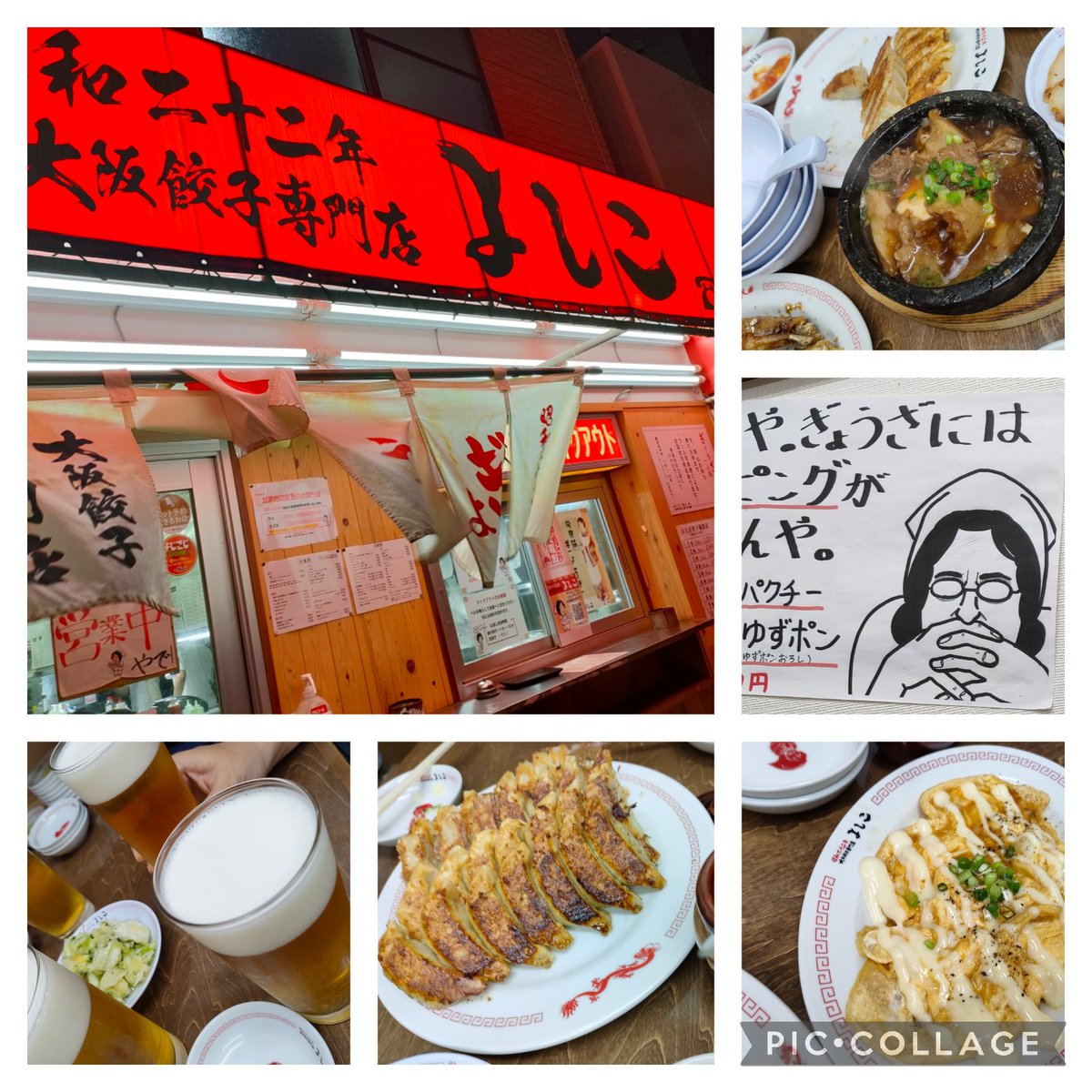kazushi310's tweet image. 昨日の夜は五反田で友だちと🍺してたよ。
#餃子
#よしこ