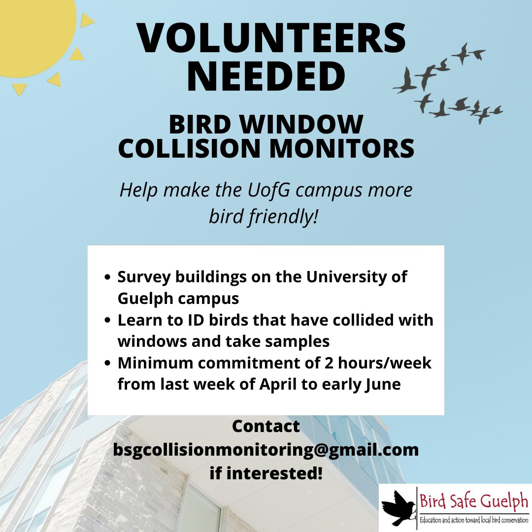 It's that time of year again folks! We are looking for volunteers to help with our window collision monitoring!

Email:
bsgcollisionmonitoring@gmail.com

#savethebirds #preventwindowcollisions #citizenscience #uofguelph #undergraduateresearch
