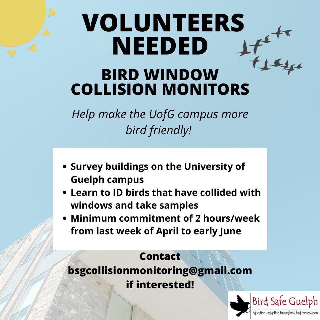 Bird Safe Guelph (@birdsafeguelph) on Twitter photo It's that time of year again folks! We are looking for volunteers to help with our window collision monitoring!
Email:
bsgcollisionmonitoring@gmail.com
#savethebirds #preventwindowcollisions #citizenscience #uofguelph #undergraduateresearch It's that time of year again folks! We are looking for volunteers to help with our window collision monitoring!
Email:
bsgcollisionmonitoring@gmail.com
#savethebirds #preventwindowcollisions #citizenscience #uofguelph #undergraduateresearch
