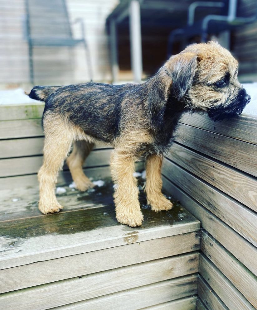 The Forty Eight tweet media