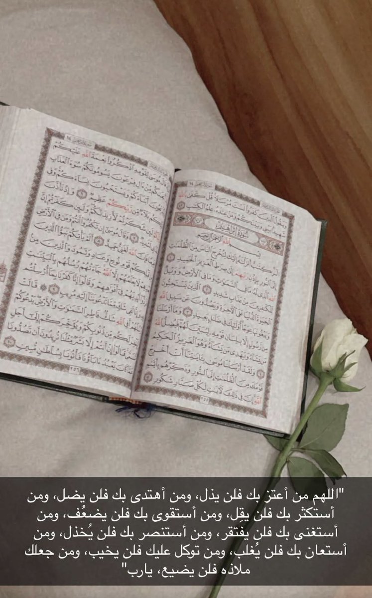 msam2S_'s tweet photo. #املنا_السيده_الجليله https://t.co/5mPuy383LV