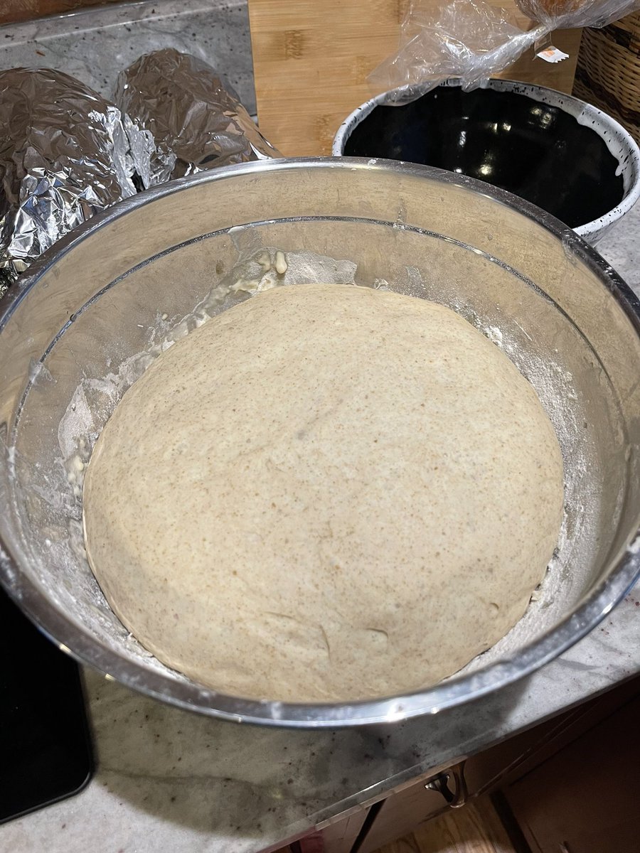 Casey Dauw (@caseydauw) on Twitter photo Veggie pizzas with homemade sourdough crust is a great way to celebrate Fridays during Lent. Veggie pizzas with homemade sourdough crust is a great way to celebrate Fridays during Lent.