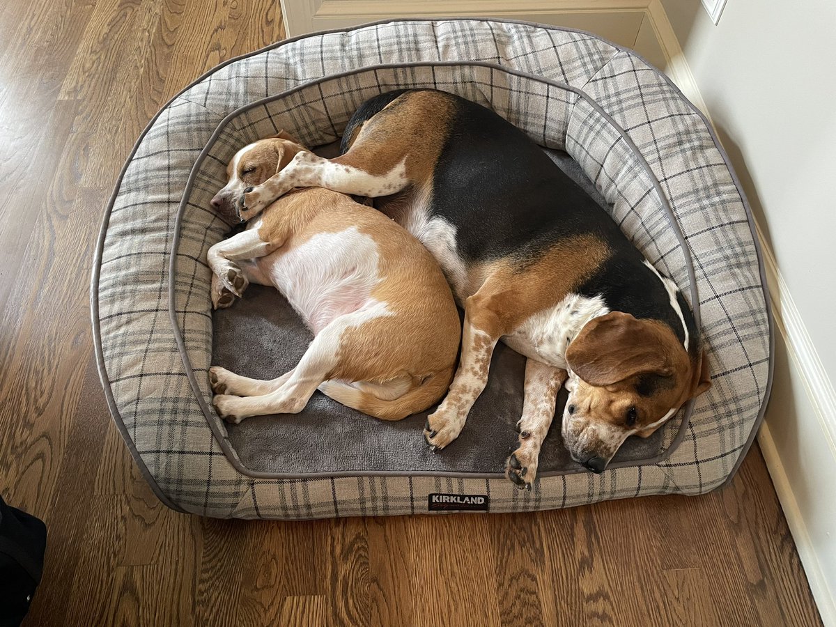 Corey Beagz tweet media