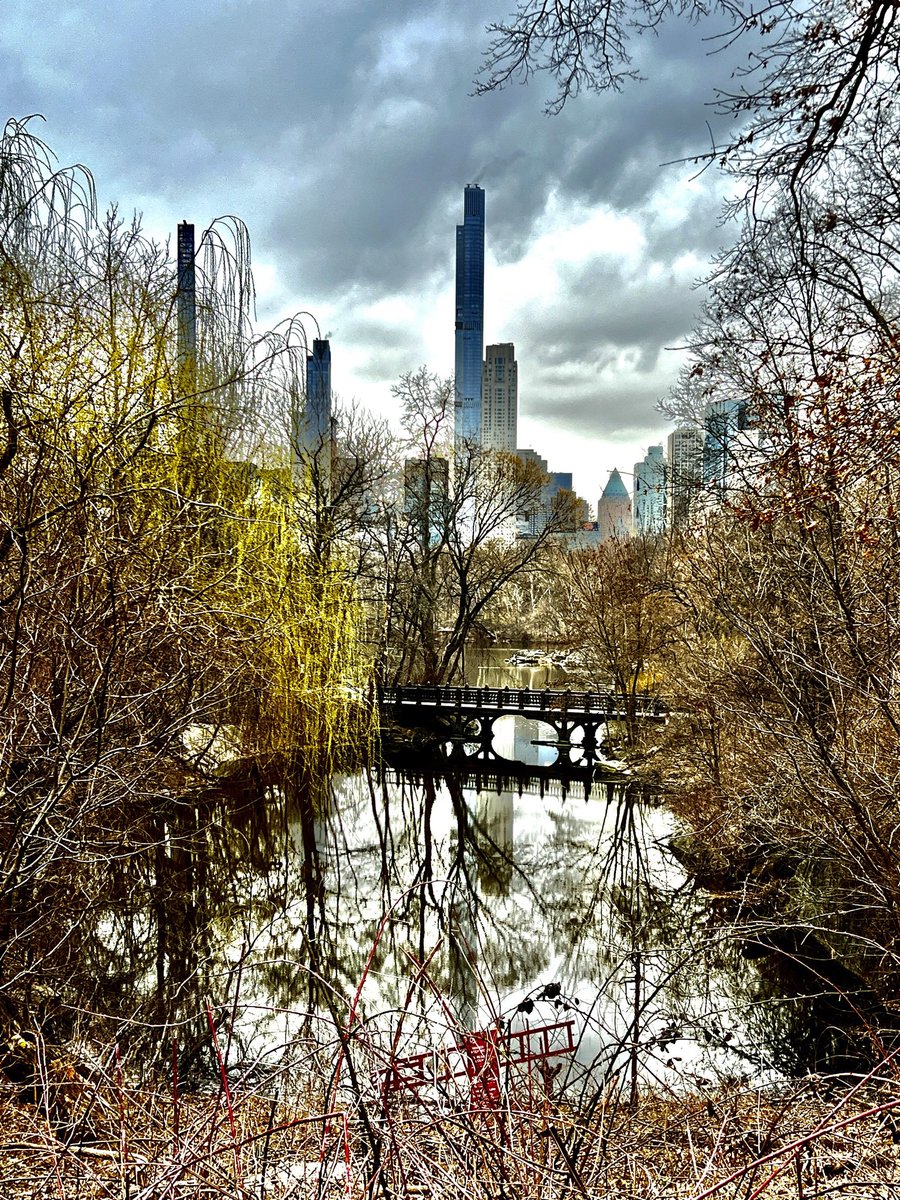 NYCRobyn's tweet photo. A day for reflections in @CentralParkNYC @My_Cen_ParkNYC @NYCParks #whyiwalk #seeyourcity #mynewyork #emeryroth #NYC https://t.co/ZnhPgx8GpH