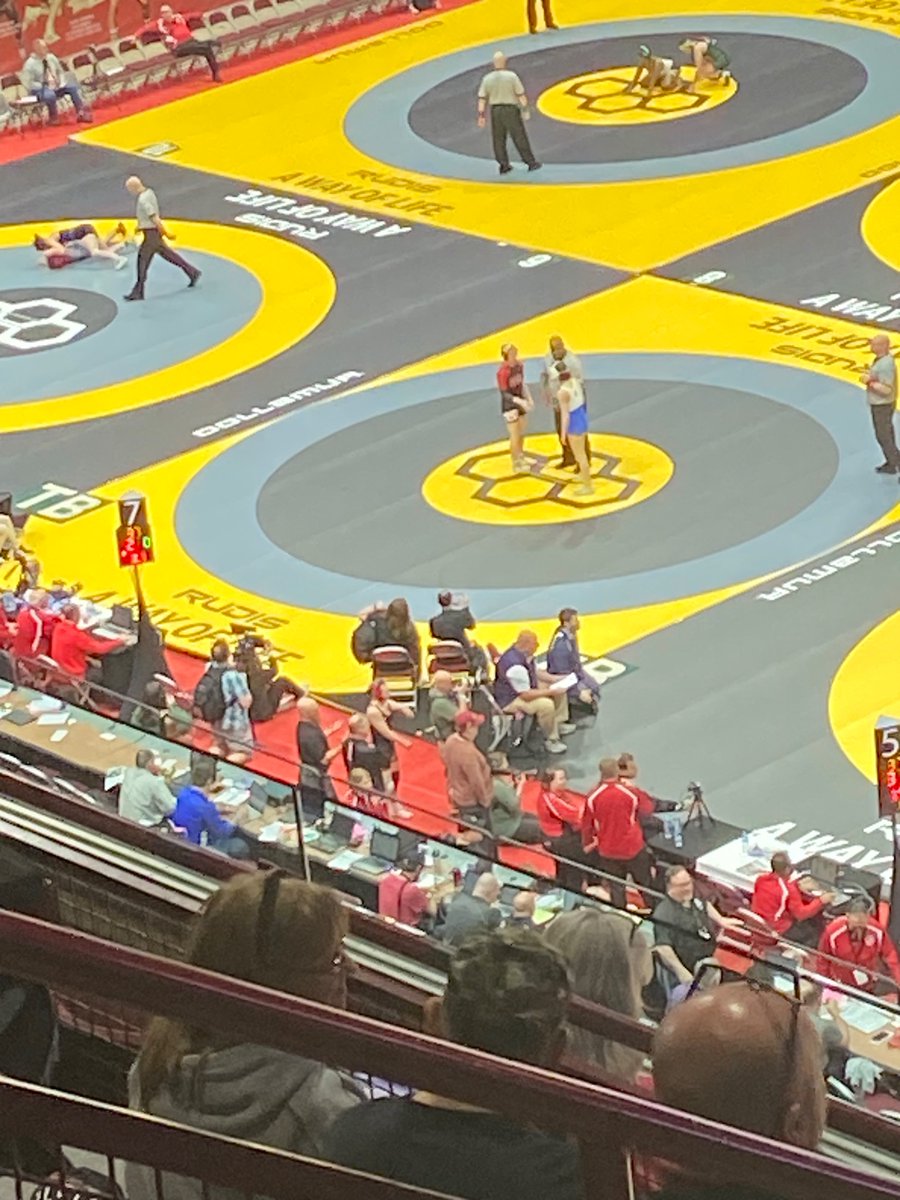 Barb Tardibuono tweet media