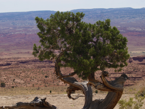 St. Austin Catholic Parish tweet media