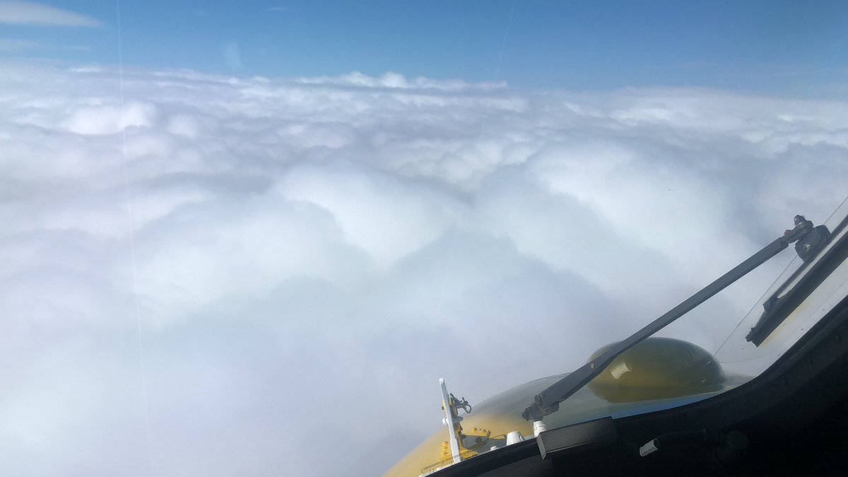 CapRescue tweet media