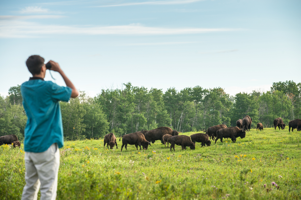 Attention #ElkIslandNP visitors! 🔔 There is only one week left to have your say on the Elk Island National Park Draft Management Plan. Be a part of planning the future of your park by taking our survey online at: parkscanada.ca/elkisland-plan