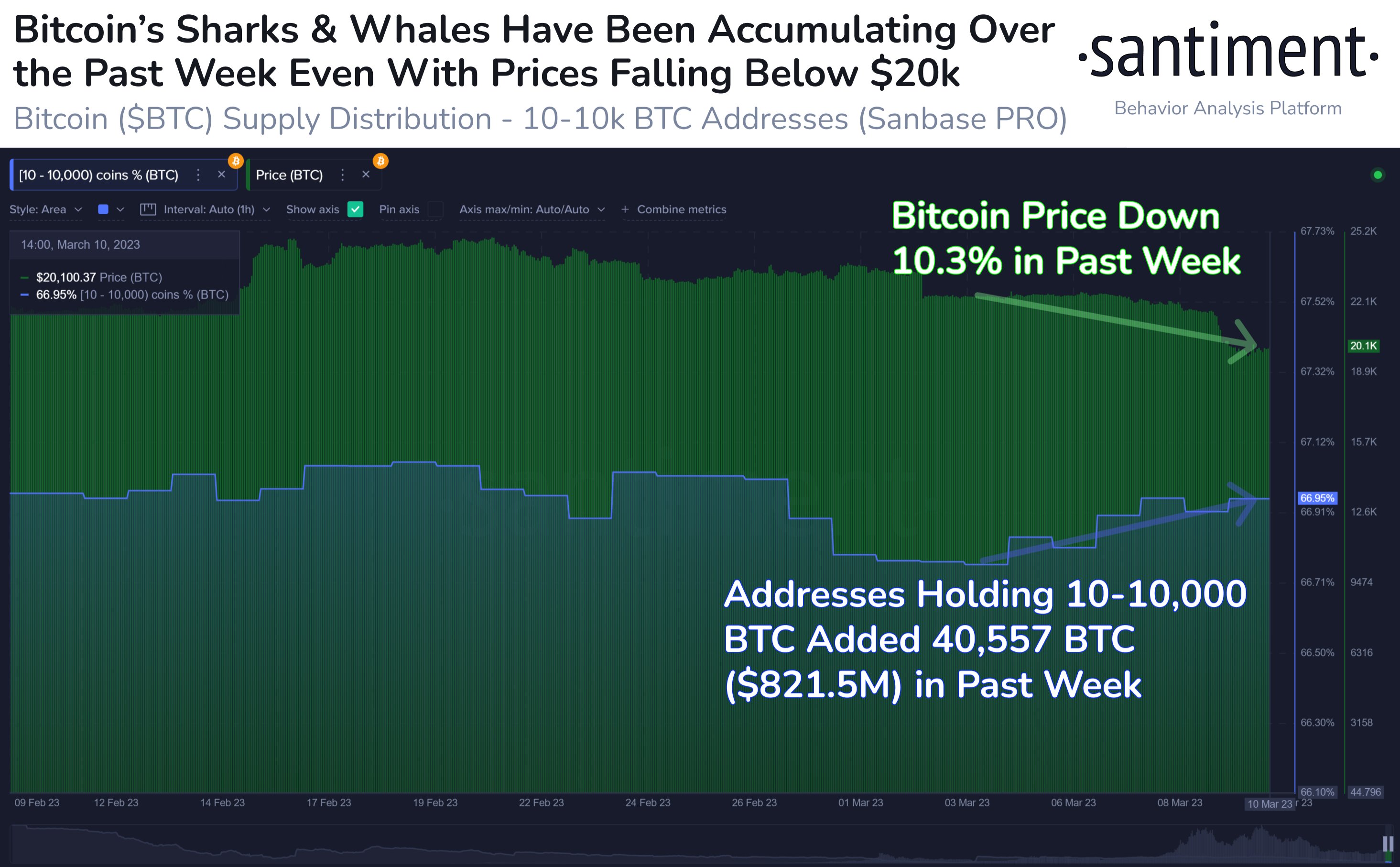 Bitcoin Whales And Sharks